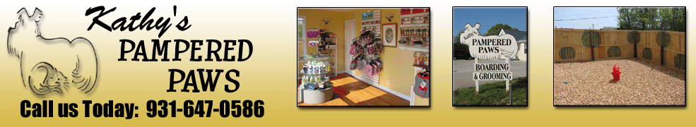 Dog Grooming Clarksville